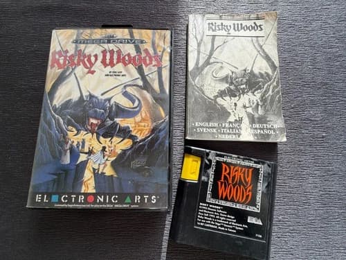 SEGA Megadrive Risky Woods Complete in Good Condition!