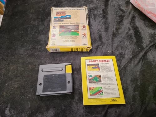 Budokan: The Martial Spirit (Sega Genesis, 1990) Complete In Box With Manual