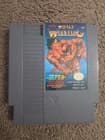 Tecmo World Wrestling (Nintendo Entertainment System, 1990)