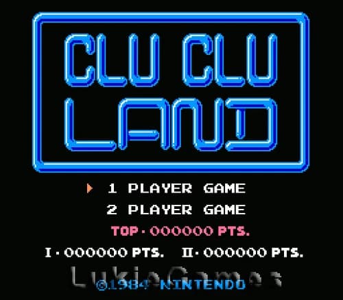 Clu Clu Land - Classic Fun NES Nintendo Game