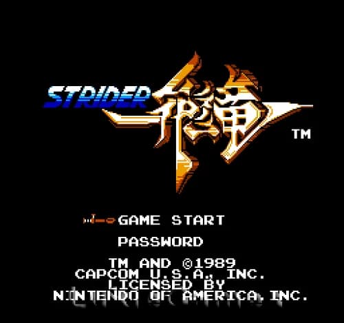 Strider - NES Nintendo Fun Game