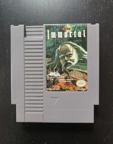 The Immortal (Nintendo Entertainment System NES, 1990) Tested!