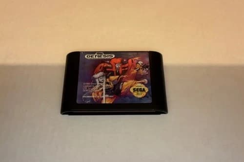 Mystical Fighter Sega Genesis 1992 Beat 'Em Up Authentic