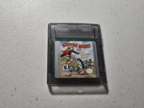 Extreme Sports With The Berenstain Bears (Nintendo Game Boy Color, 2000) TESTED