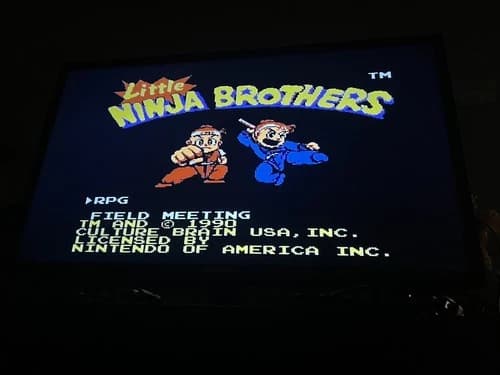 NES NINTENDO LITTLE NINJA BROTHERS ***RARE***