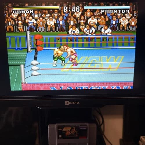 Natsume Championship Wrestling (Super Nintendo Entertainment System, 1994) SNES