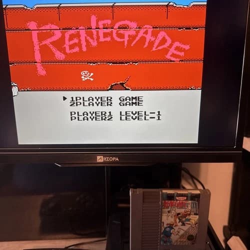 Renegade (Nintendo Entertainment System, 1988)