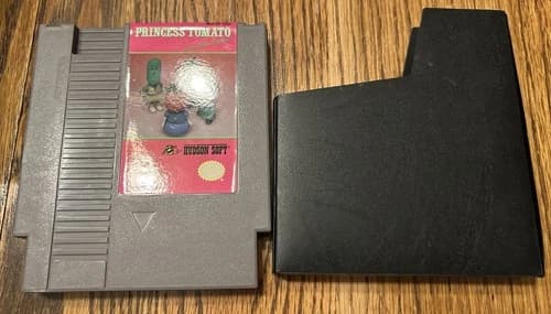 Princess Tomato in the Salad Kingdom Nintendo Entertainment System NES