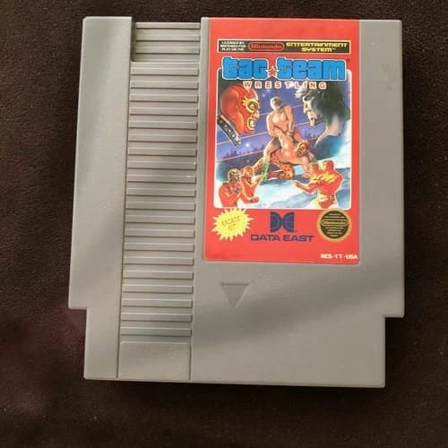 Nintendo NES video game Tag Team Wrestling cartridge only Data East tested works