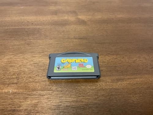 Garfield and His Nine Lives Nintendo GBA, 2006, Works!