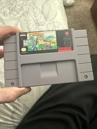 Power Piggs of the Dark Age (Super Nintendo SNES)