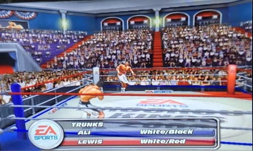 Knockout Kings 2003 Nintendo Gamecube Complete With Manual, Tested