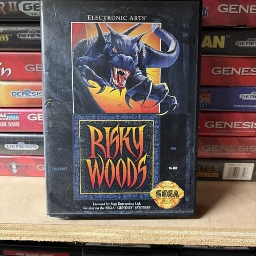 Risky Woods Sega Genesis Complete In Box CIB Manual Case Video Game VTG