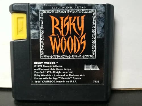 Risky Woods (Sega Genesis, 1992) Very Clean, Tested, Authentic - Cartridge Only