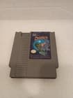 Solstice: The Quest for the Staff of Demnos (Nintendo NES)