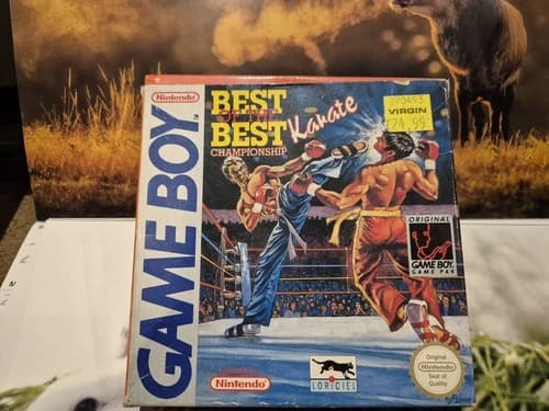 Best of the best championship karate