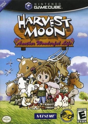 Harvest Moon Another Wonderful Life Nintendo Gamecube Game Only