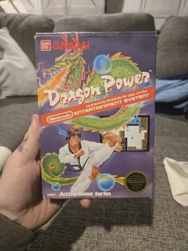 DRAGON POWER, NINTENDO NES, CIB, VERY NICE