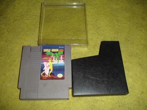 Castle of Dragon (Nintendo Entertainment System, 1990)