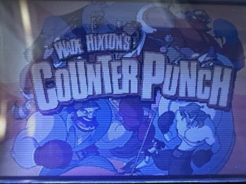 Wade Hixton's Counter Punch (Nintendo Game Boy Advance, 2004)