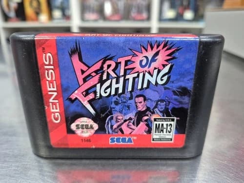 Sega Genesis - Art of Fighting