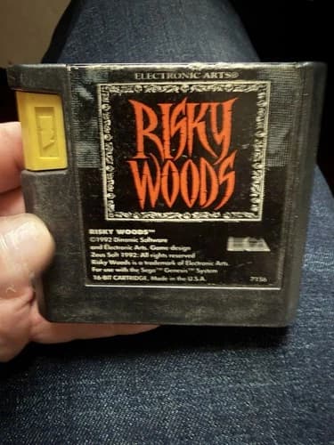 Risky Woods (Sega Genesis, 1992) Game Cartridge Only Tested Works Authentic