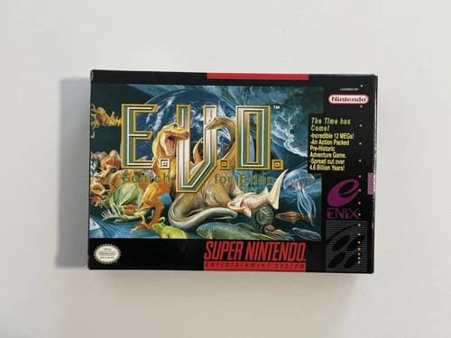 E.V.O. Search for Eden SNES Beautiful
