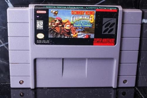 Donkey Kong Country 3: Dixie Kong's Double Trouble! (Nintendo SNES, 1996) Tested