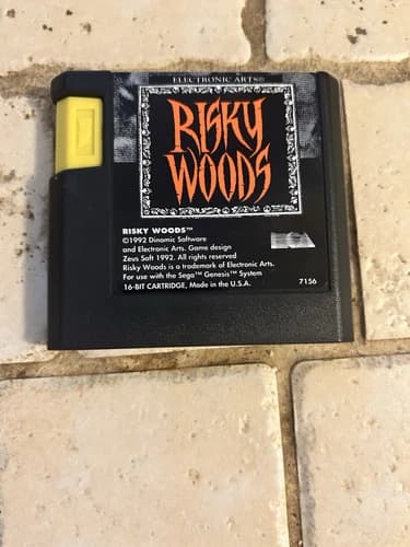 1992 Sega Genesis Risky Woods Cartridge ONLY