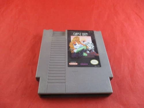 Ghost Lion (Nintendo Entertainment System, 1992) NES game WORKS!