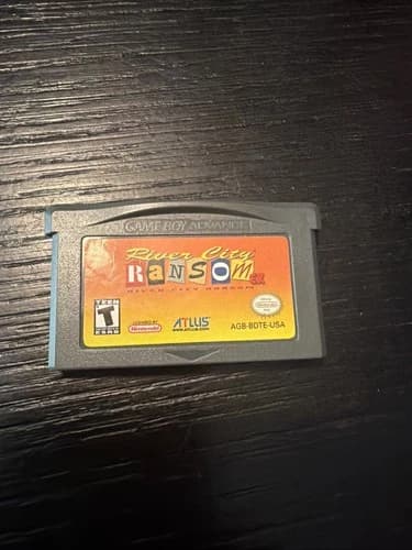 River City Ransom EX Nintendo Game Boy Advance (GBA) (2004) 100% Authentic