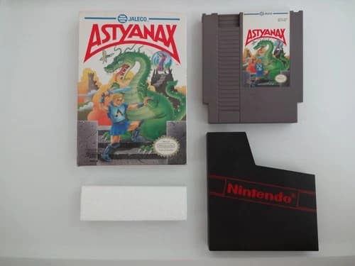 Astyanax Complete in Box Nintendo NES CIB