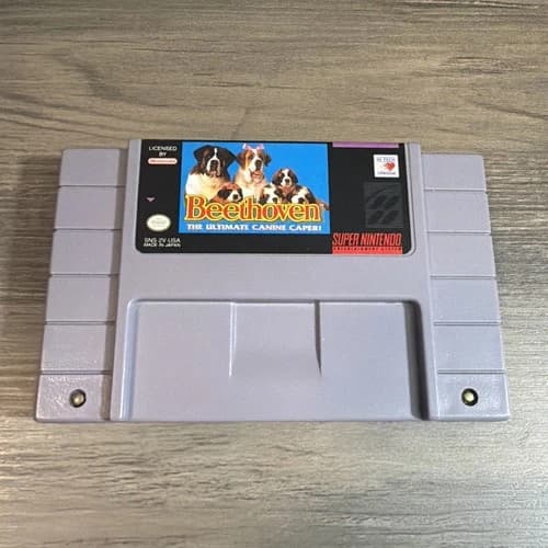 Beethoven: The Ultimate Canine Caper SNES Super Nintendo Entertainment Tested