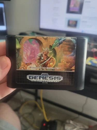 Dungeons & Dragons: Warriors of the Eternal Sun (Sega Genesis, 1992)