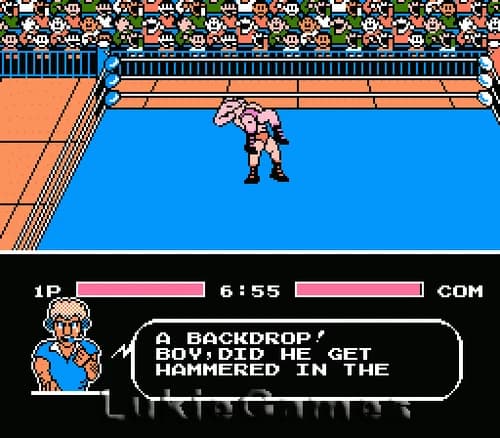 Tecmo World Wrestling - NES Nintendo Game