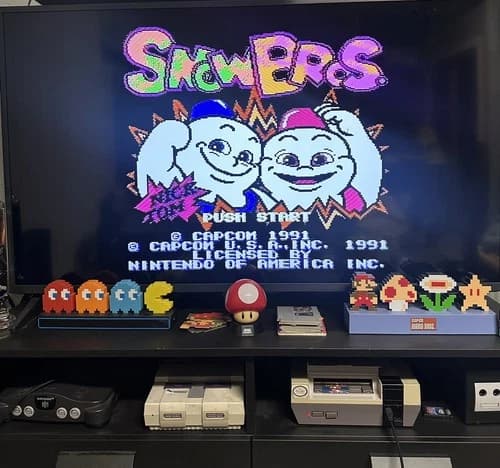 Snow Brothers Bros. NES Nintendo game cart NTSC