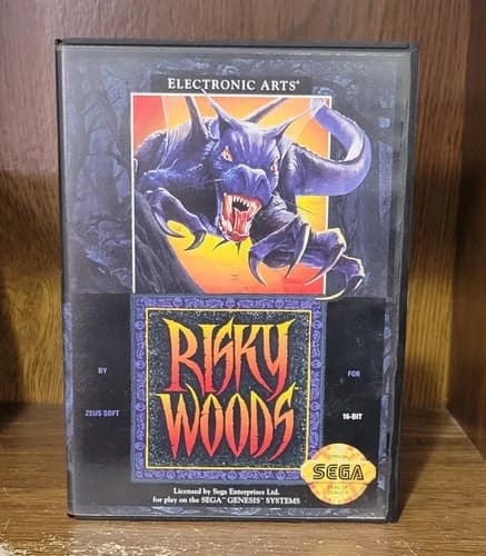 SEGA GENESIS RISKY WOODS - COMPLETE (TESTED & WORKING)