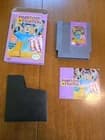 Phantom Fighter Nintendo NES 1990 Cib Works