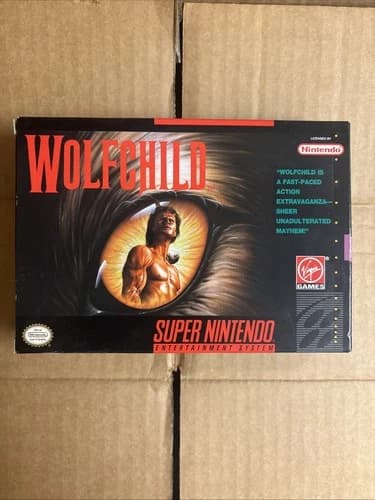 Wolfchild (Super Nintendo Entertainment System, 1993) Works