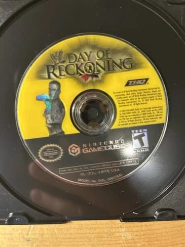 WWE: Day of Reckoning (Nintendo GameCube, 2004) *Disc Only - Tested*