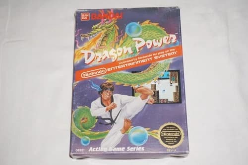 Dragon Power (Nintendo NES) Complete in Box CIB