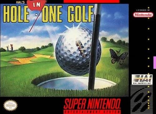 Hole in One Golf (Super Nintendo SNES) Cartridge Only Clean Tested and Working!