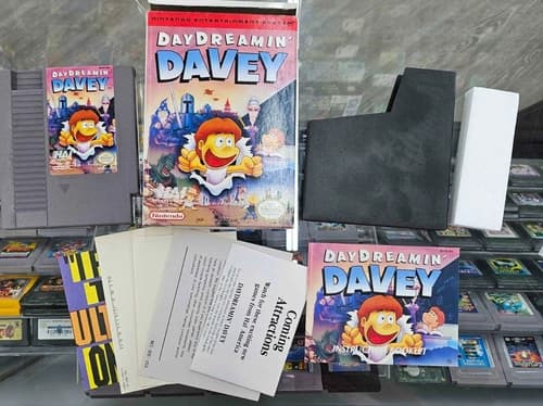 Day Dreamin' Davey (Nintendo Entertainment System, 1992) - CIB/Complete!