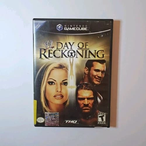 THQ WWE: Day of Reckoning Nintendo GameCube TESTED WORKING