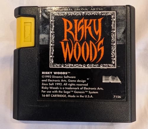 Sega Genesis Risky Woods Cartridge Only TESTED