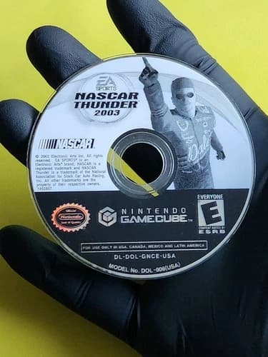 Nintendo Gamecube NASCAR Thunder 2003 Video Racing Game Disc ONLY Tested
