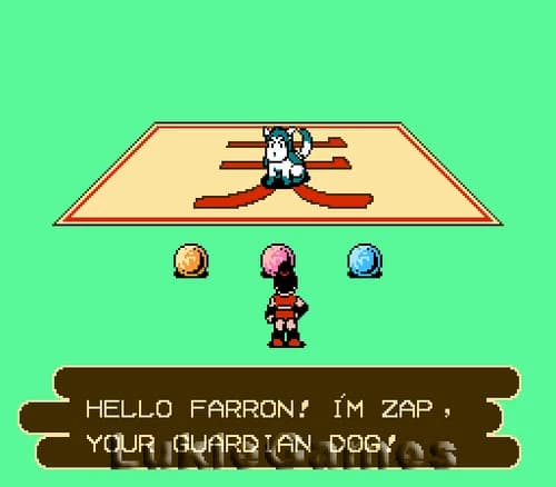 Conquest Of The Crystal Palace - NES Nintendo Game