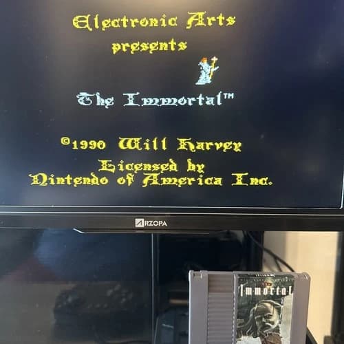 The Immortal (Nintendo Entertainment System, 1990)