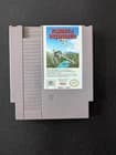 Flight of the Intruder - Nintendo NES Game - Authentic - Tested - Free Shipping