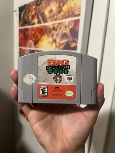 Big Mountain 2000 (Nintendo 64, 2000) Cartridge Only - Authentic - Tested